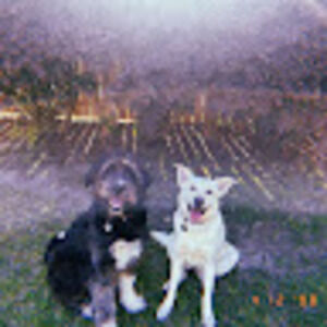 Meet your Posher, Marina